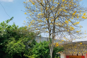 foto de Clinica de recuperacao feminina em Suzano